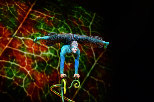 Cirque du Soleil mit OVO in Zürich